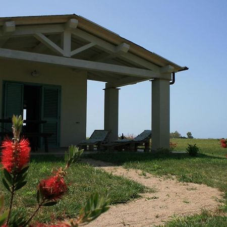 Agriturismo Podere 678 Grosseto Ngoại thất bức ảnh