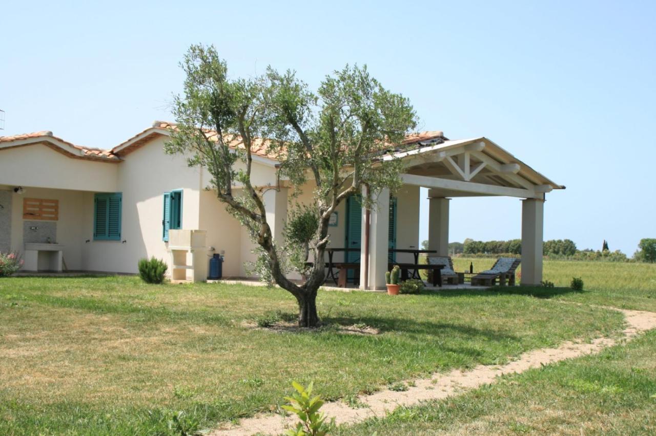 Agriturismo Podere 678 Grosseto Ngoại thất bức ảnh