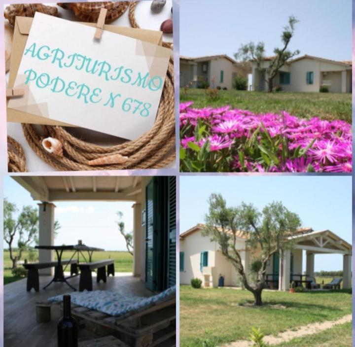 Agriturismo Podere 678 Grosseto Ngoại thất bức ảnh