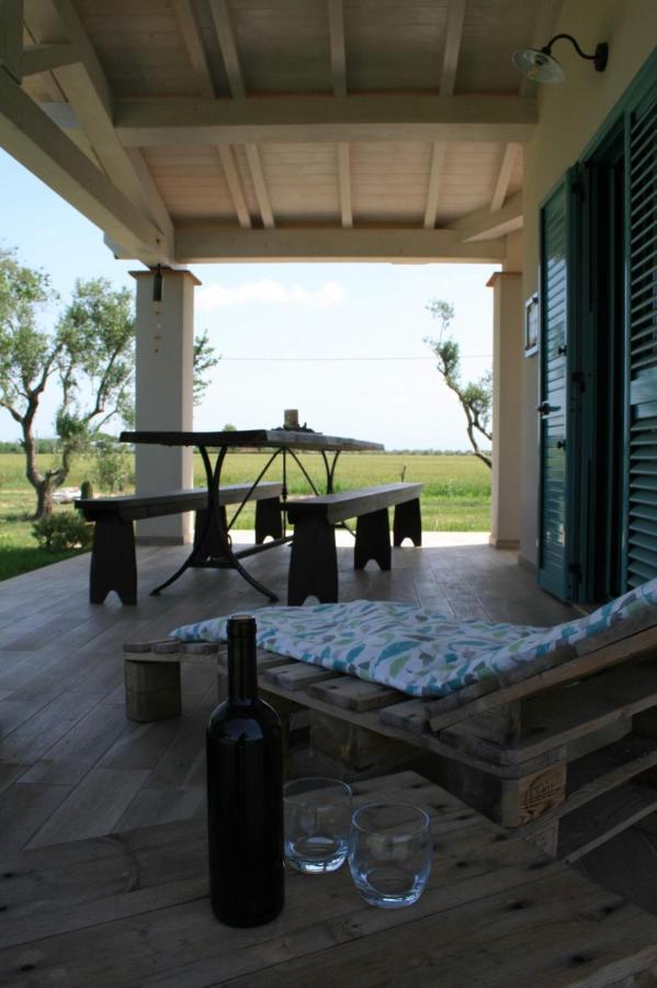 Agriturismo Podere 678 Grosseto Ngoại thất bức ảnh